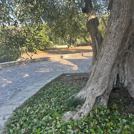 I Trulli Di Eva Apartment Noci Exterior photo